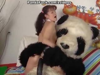 Сладострастен момиче чука с неприятен panda мечоци