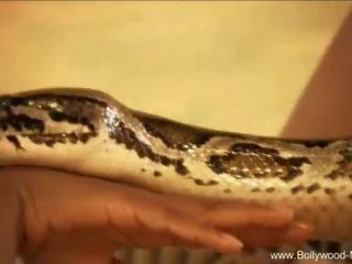 Bollywood και ο γοητευτικός snake