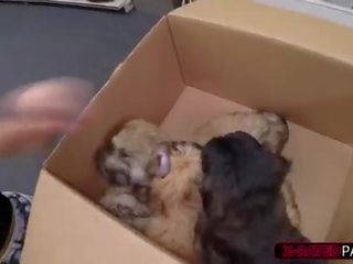 Cheeky blonde woman walks in to sell her puppies and gets fucked