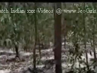 ป่า ผู้ใหญ่ วีดีโอ