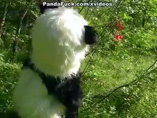 Ít đỏ cưỡi mui xe chết tiệt với panda trong các wood